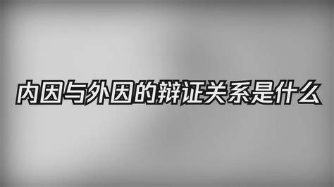 外在因素|到底是外因决定内因，还是内因决定外因？